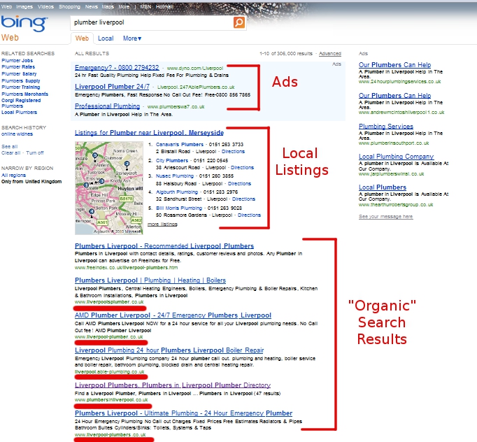 Bing Local Business Search