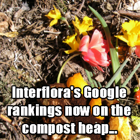 Interfora Google manual penalty - rankings now on the compost heap
