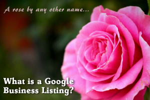What is a Google Business Listing
